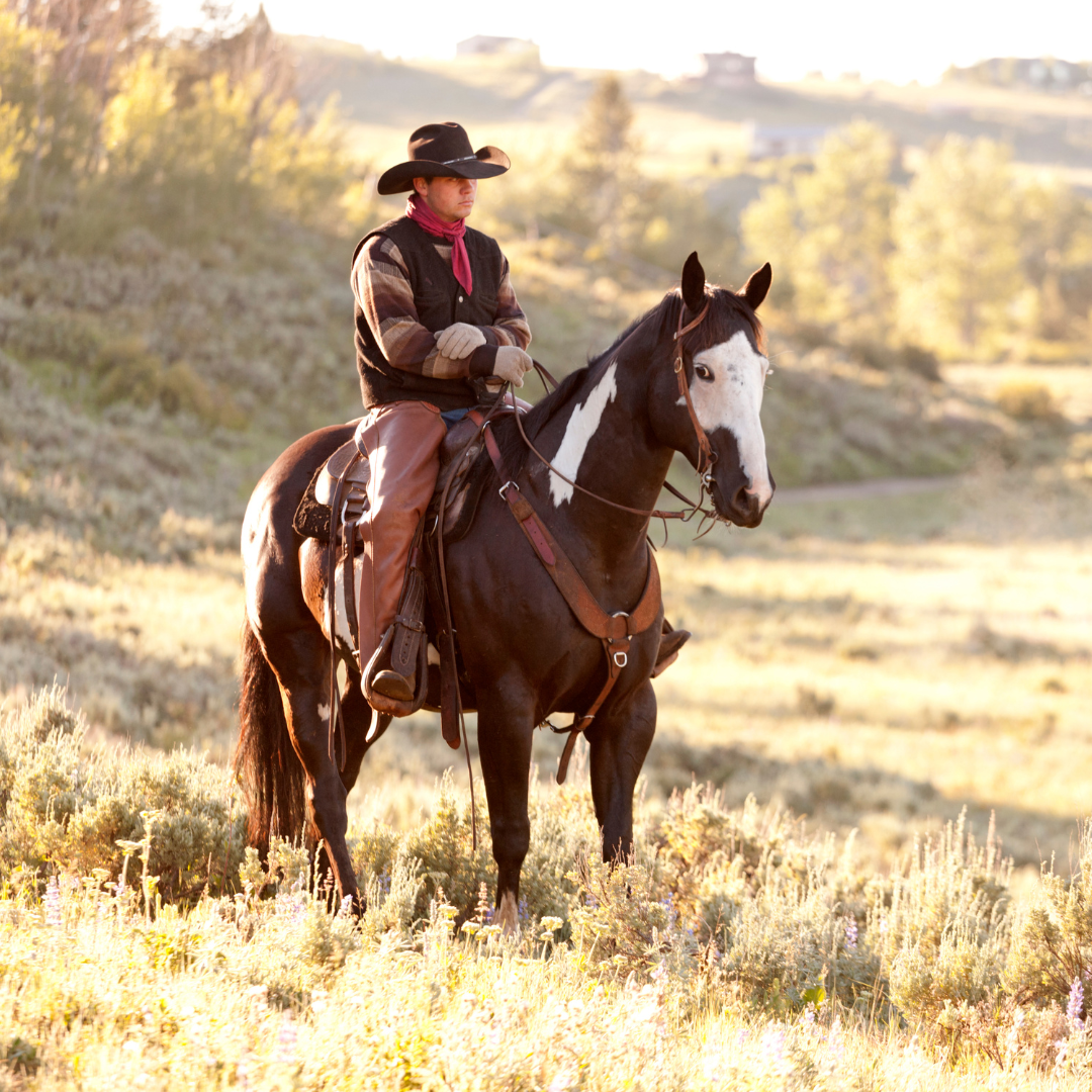Ausflugsziel: Symbolbild für Ausflugsziel EL DORADO – Die Westernstadt. Keine korrekte oder ähnlich Darstellung! - EL DORADO – Die Westernstadt
