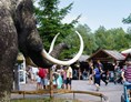 Ausflugsziel: Trubel an allen Ecken - Der Dinosaurierpark - Ferienpark Germendorf