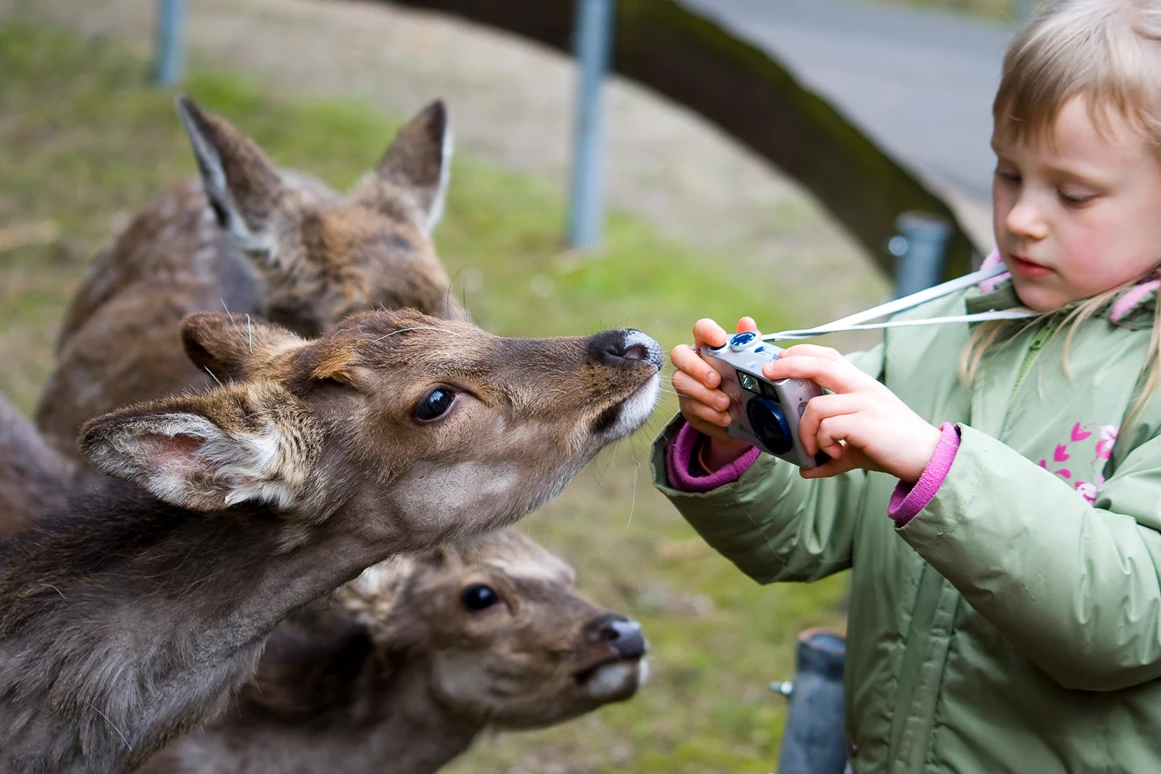 Ausflugsziel: wir sind überall unterwegs  - Der Dinosaurierpark - Ferienpark Germendorf