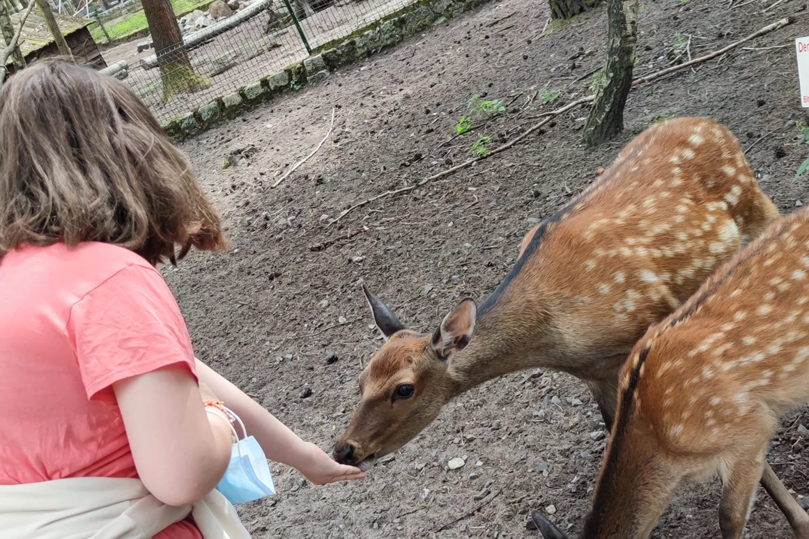 Ausflugsziel: Der Dinosaurierpark - Ferienpark Germendorf