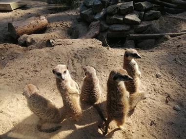 Ausflugsziel: Der Dinosaurierpark - Ferienpark Germendorf