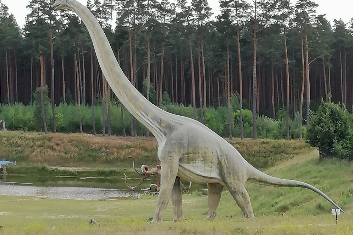 Ausflugsziel: Dinos in echter Größe - Der Dinosaurierpark - Ferienpark Germendorf