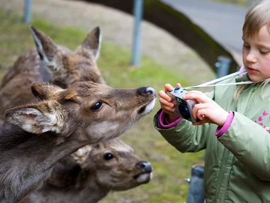 Ausflugsziel: Der Dinosaurierpark - Ferienpark Germendorf