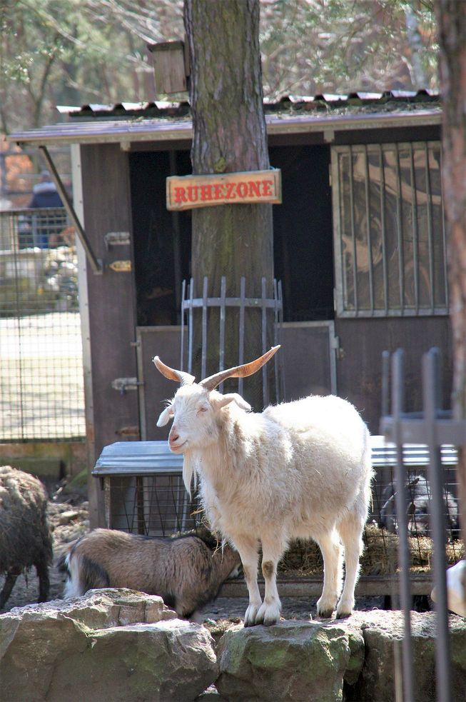 Ausflugsziel: Streichelzoo - Haus Natur und Umwelt