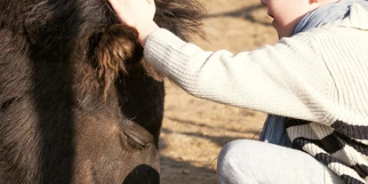 Ausflug mit Kindern - PLZ 14513 (Deutschland) - Kinderbunter Bauernhof