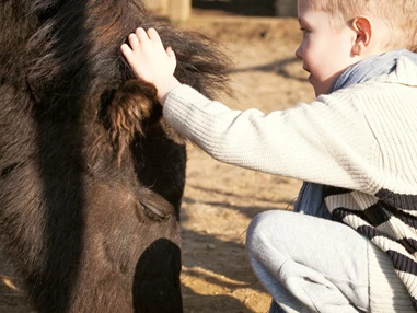 Ausflugsziel: Kinderbunter Bauernhof