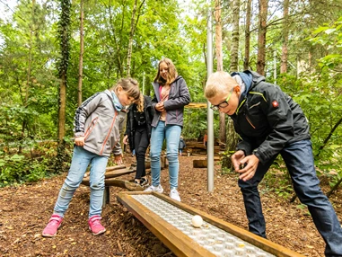 Ausflugsziel: Sommerrodelbahn & Indoor-Spielplatz Scharmützel-Bob