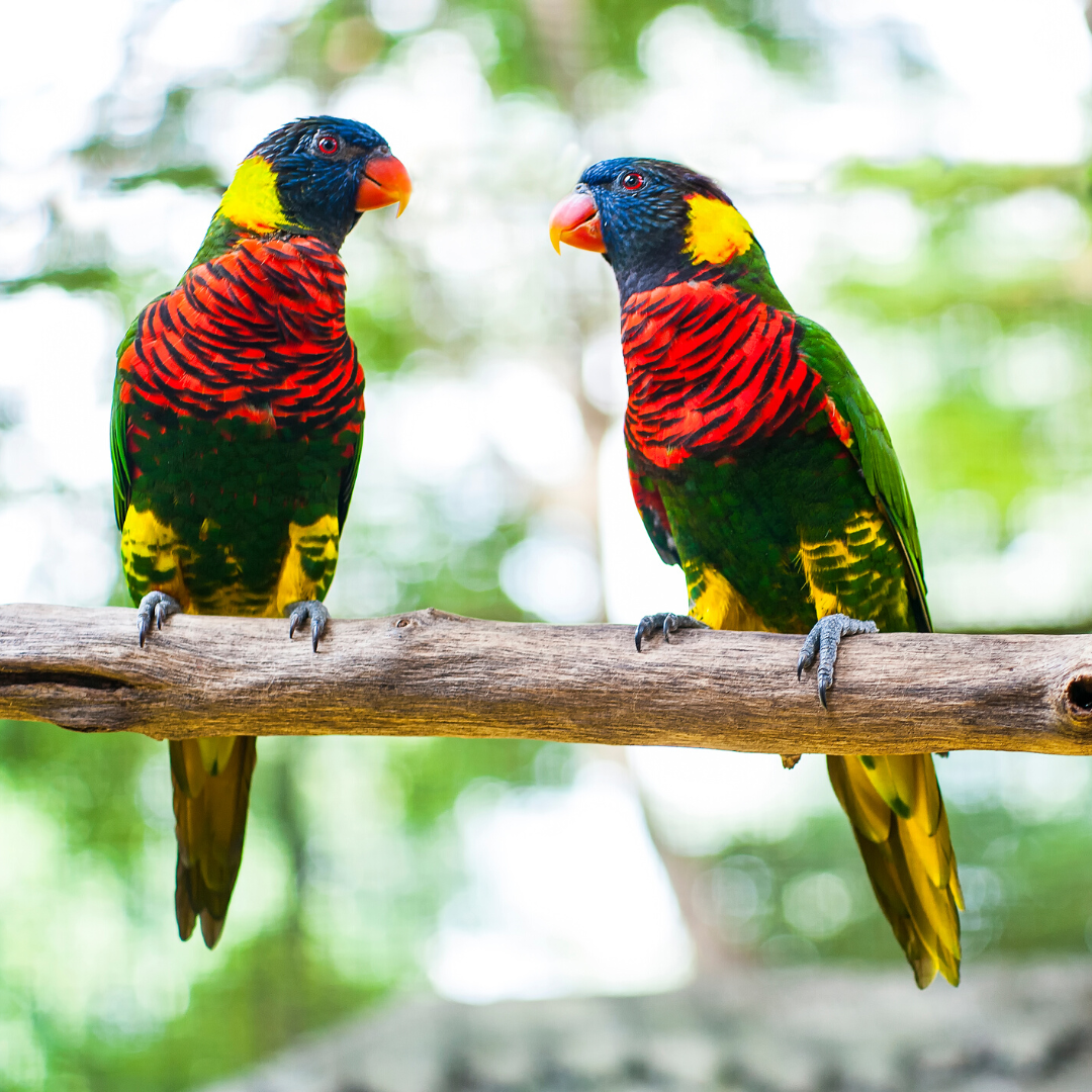 Viaggio con bambini - Baruth/Mark - Vogelpark Teltow