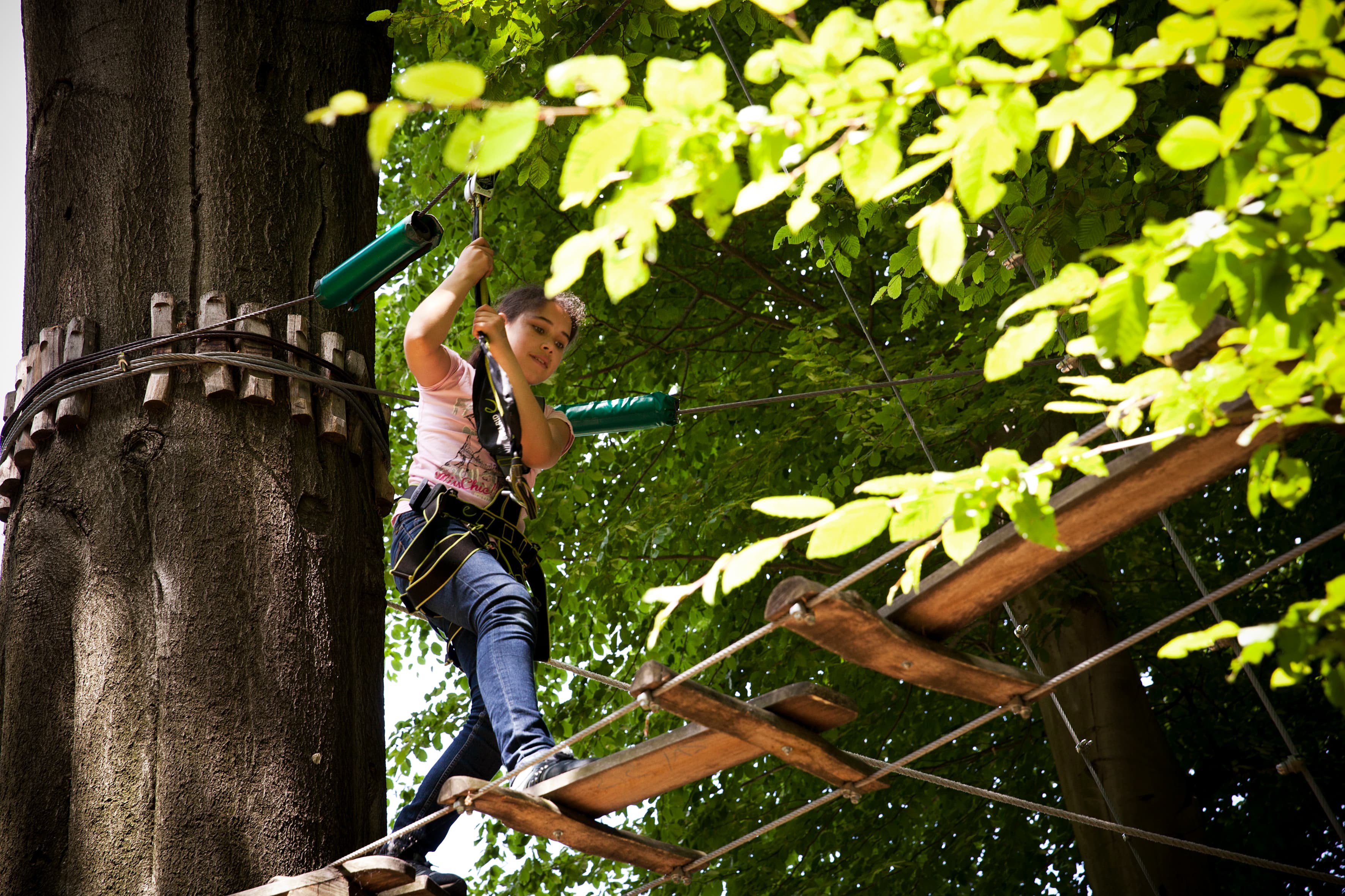 Ausflugsziel: Waldhochseilgarten Jungfernheide