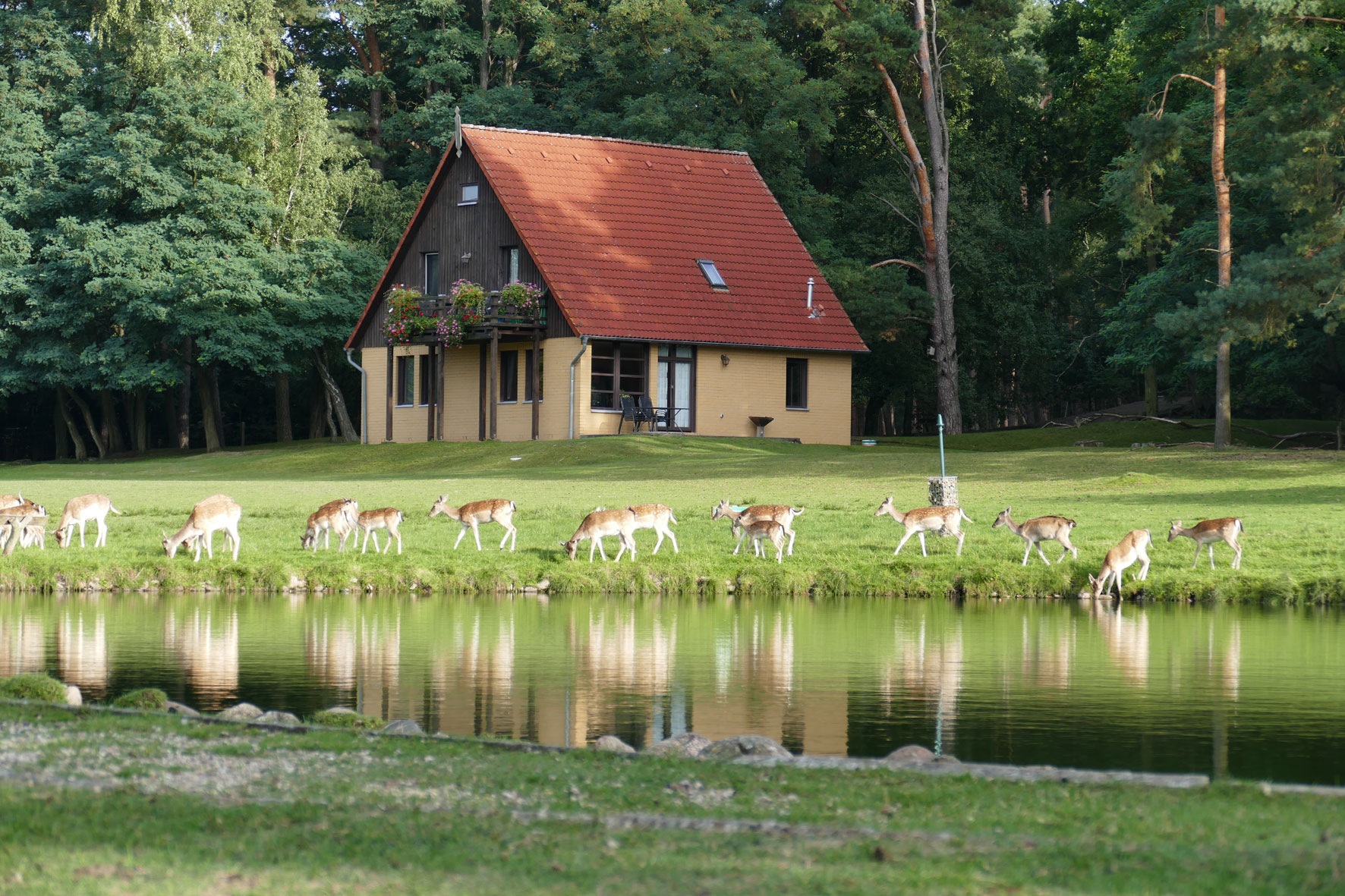 Reis met kinderen - Ausflugsziel ist: ein Tierpark - Wildpark Johannismühle