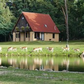 Ausflugsziel - Wildpark Johannismühle
