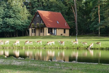 Ausflugsziel: Wildpark Johannismühle