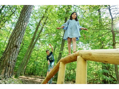 Ausflugsziel: Spaß und Entspannung für die ganze Familie. Auf Naturerlebnis-Stationen wie den Balancierbalken. - Der Barfußpark Beelitz-Heilstätten