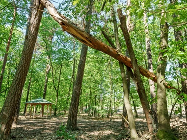 Ausflugsziel: Der Barfußpark Beelitz-Heilstätten