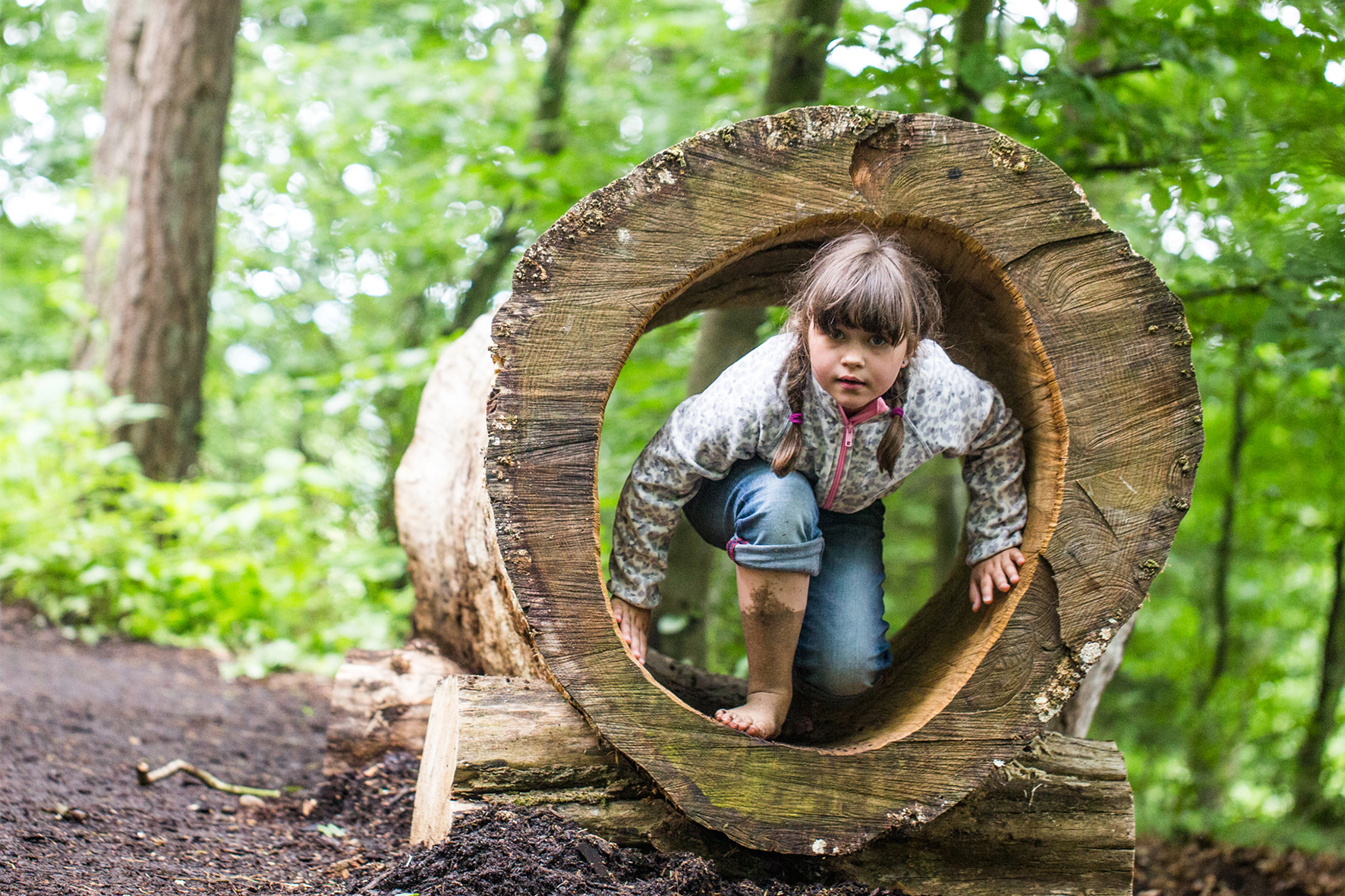Ausflugsziel: Der Barfußpark Beelitz-Heilstätten