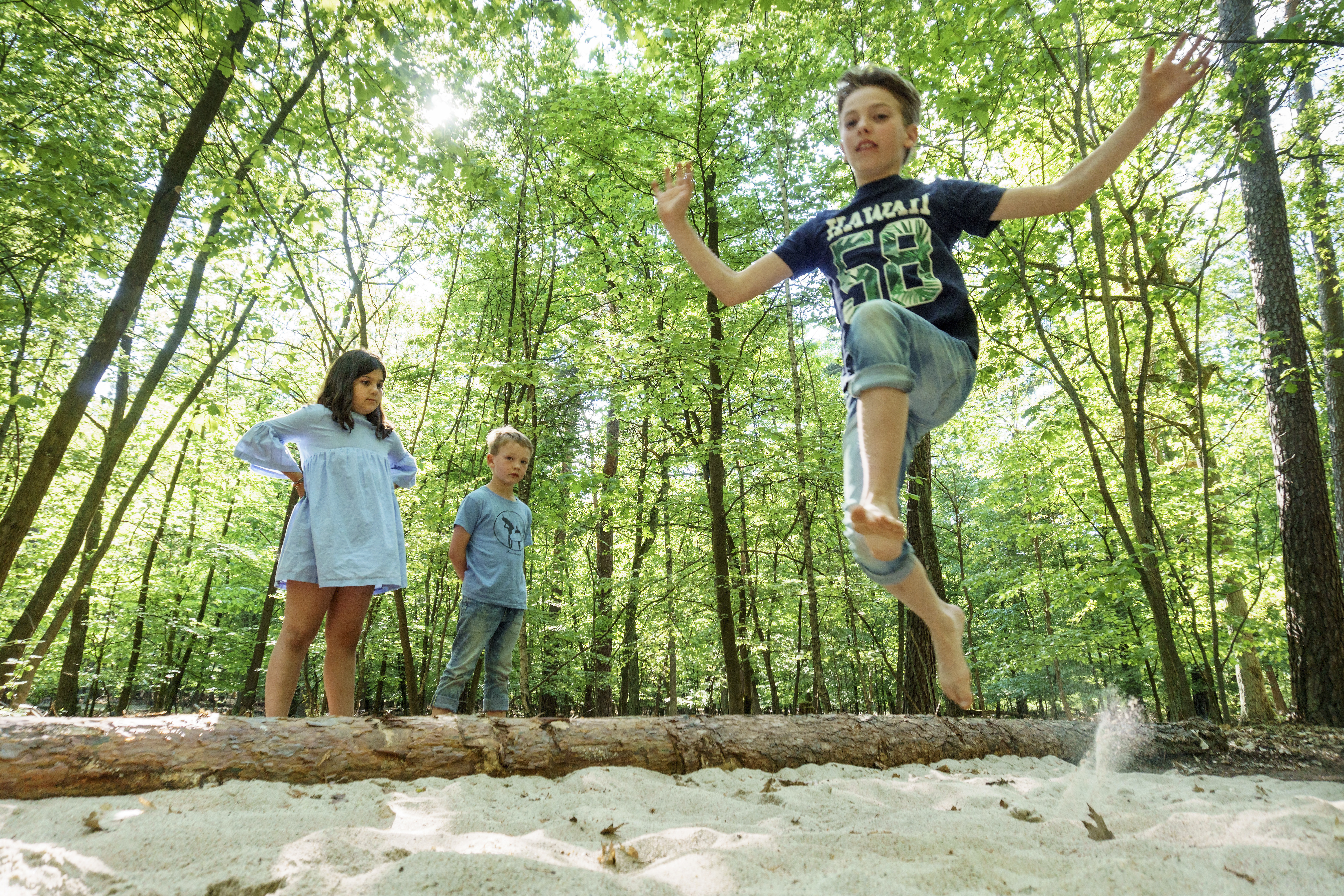 Ausflugsziel: Der Barfußpark Beelitz-Heilstätten