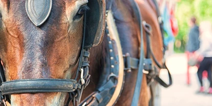 Ausflug mit Kindern - PLZ 14513 (Deutschland) - Symbolbild für Ausflugsziel Domäne Dahlem (Berlin).
 - Domäne Dahlem
