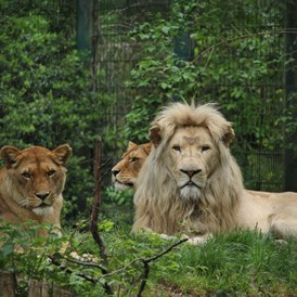 Ausflugsziel: Zoo Eberswalde