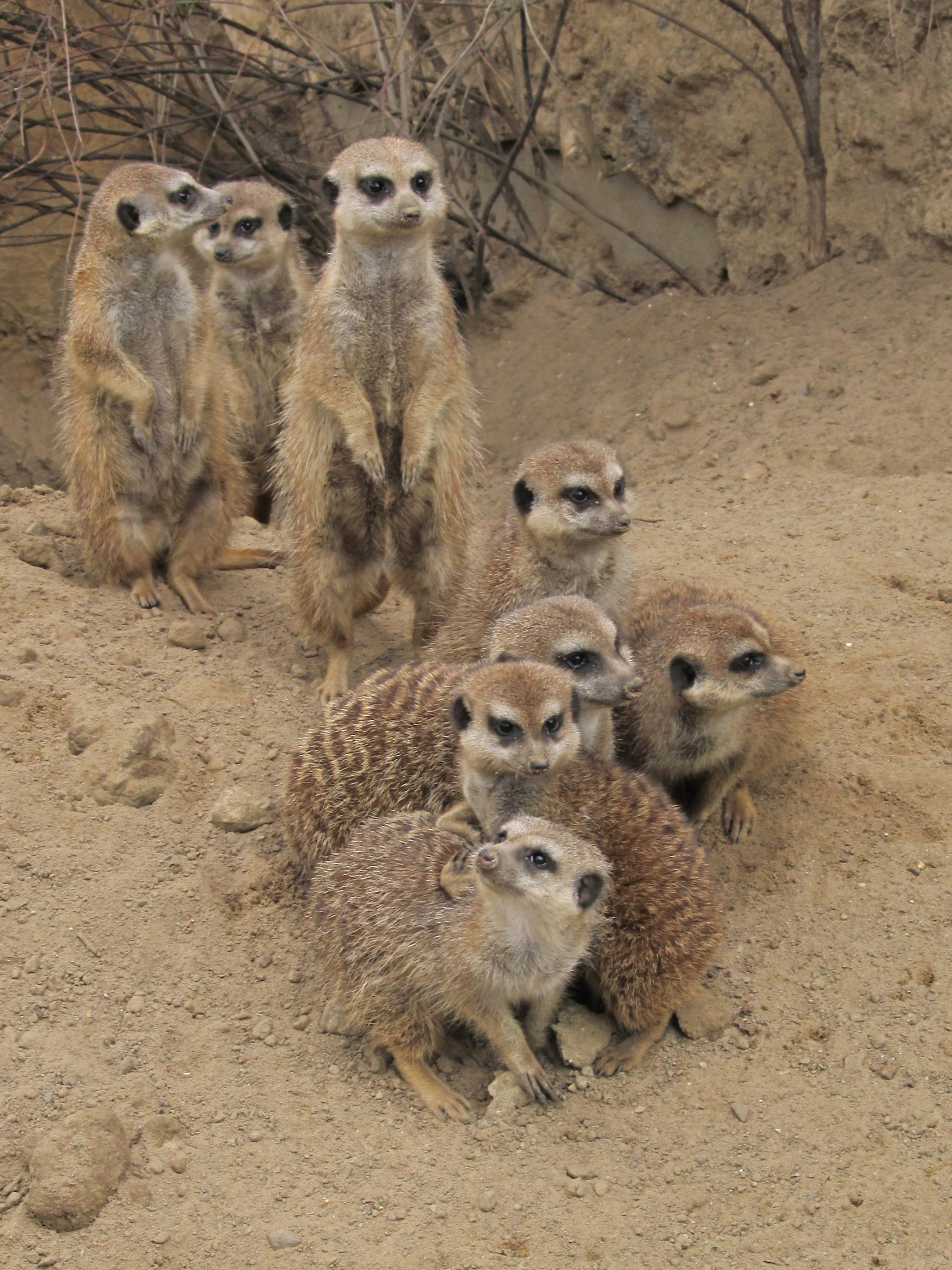 Ausflugsziel: Zoo Eberswalde