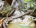 Ausflugsziel: Tour 60 aus unserem Wanderbuch Abenteuer Natur Salzkammergut: Woerschachklamm mit Burgruine Wolkenstein - Wörschachklamm und Ruine Wolkenstein