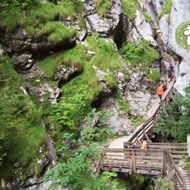 Ausflugsziel: Wörschachklamm und Ruine Wolkenstein