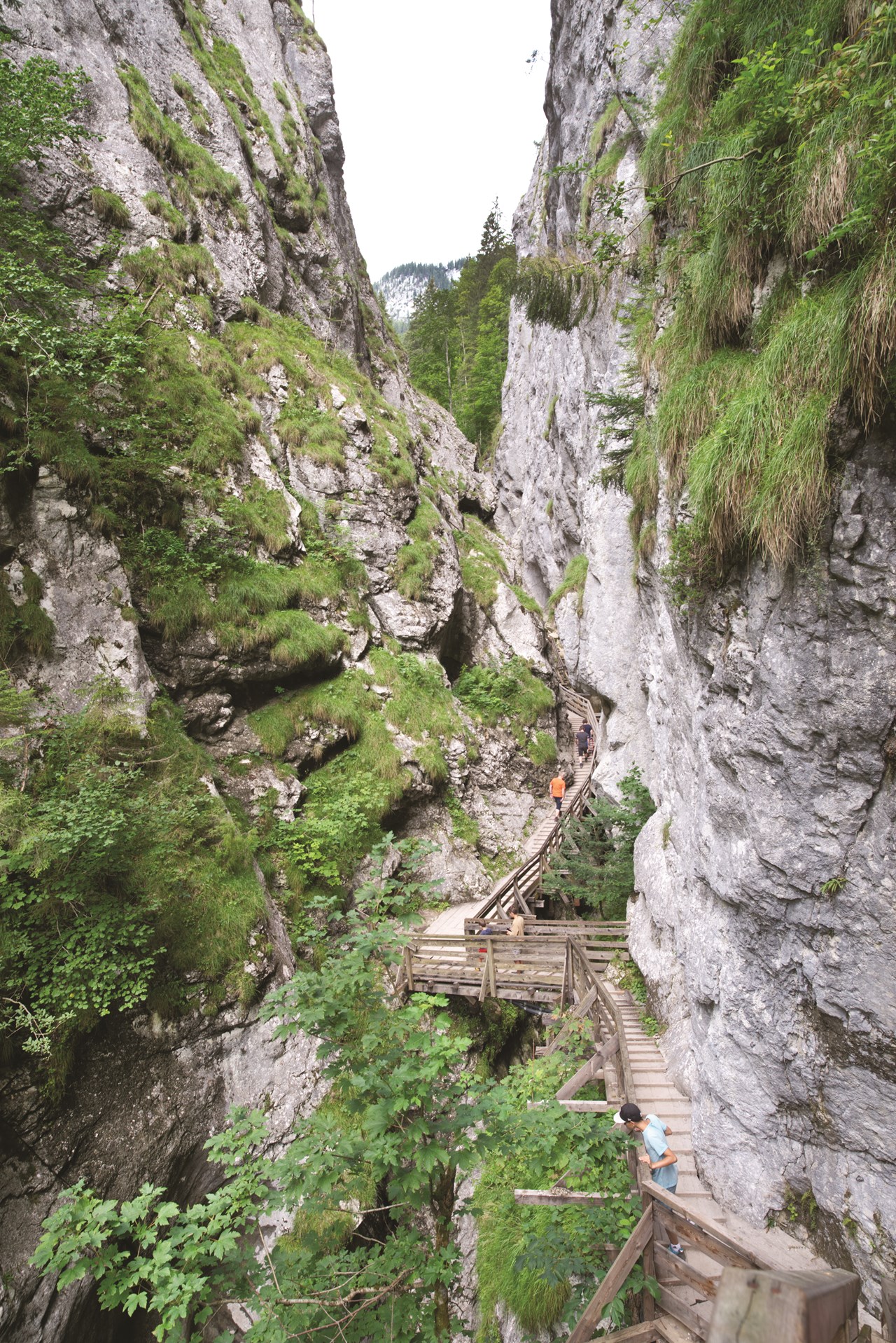 Wörschachklamm und Ruine Wolkenstein Highlights beim Ausflugsziel Wörschachklamm