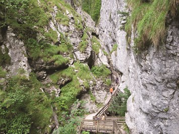 Wörschachklamm und Ruine Wolkenstein Highlights beim Ausflugsziel Wörschachklamm