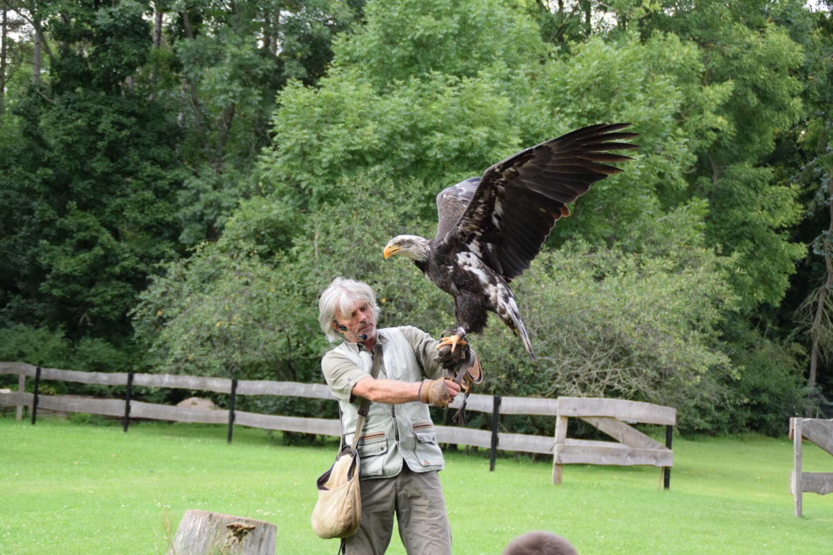 Ausflugsziel: Adler und Falkenhof Schütz 