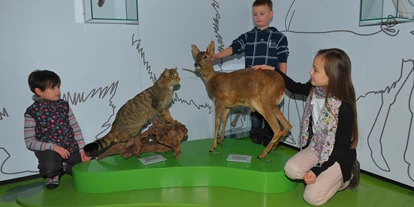 Ausflug mit Kindern - Kindergeburtstagsfeiern - Bad Münstereifel - Eifelmuseum - EifelTotal