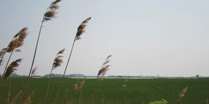 Reis met kinderen - PLZ 7163 (Österreich) - Die Lacke liegt ganz in der Nähe des Neusiedler Sees. - Rund um den Darscho