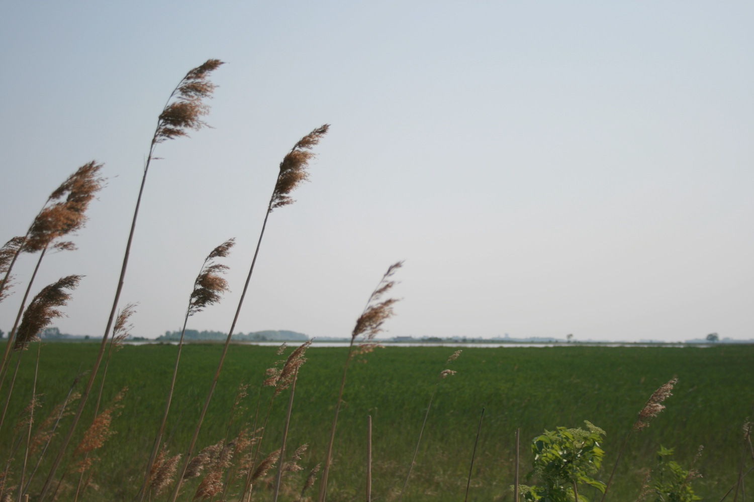 Ausflugsziel: Rund um den Darscho