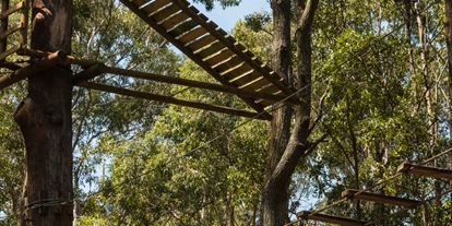 Voyage avec des enfants - Region Vogelsberg - Baumkronenpfad Hoherodskopf