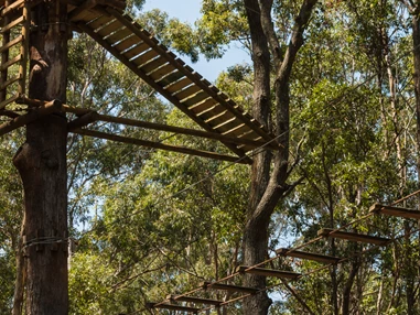 Ausflugsziel: Baumkronenpfad Hoherodskopf