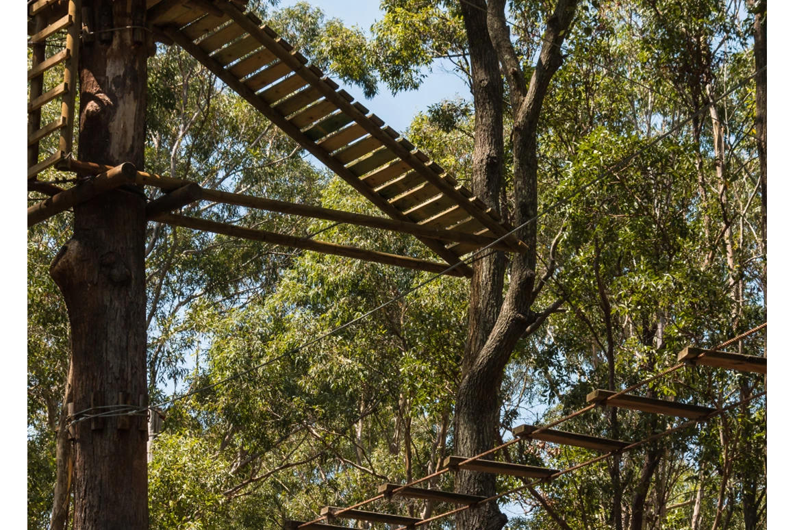 Ausflugsziel: Baumkronenpfad Hoherodskopf
