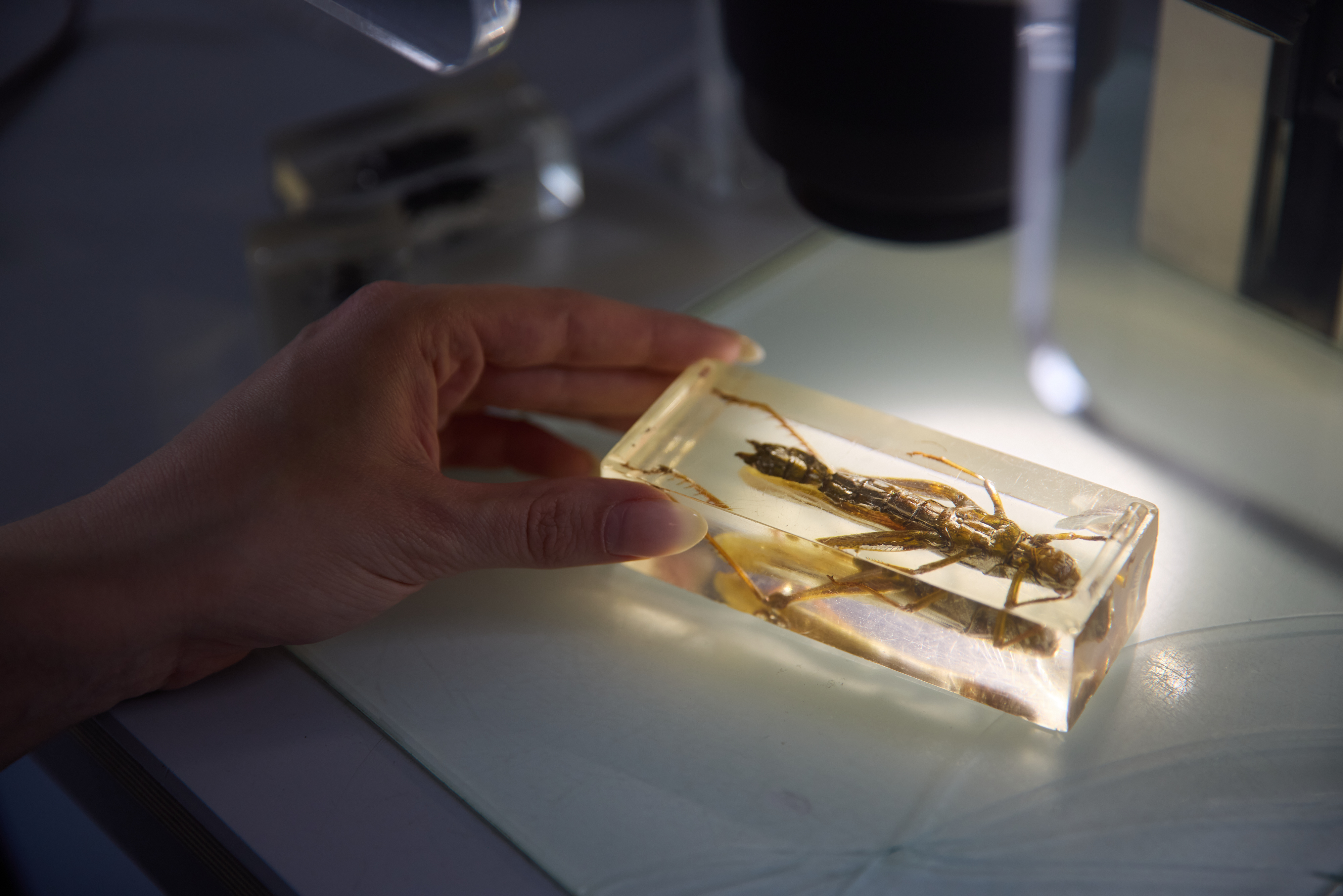 Ausflugsziel: EXPERIMINTA ScienceCenter