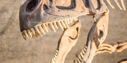 Voyage avec des enfants - Großwallstadt - Symbolbild für Ausflugsziel Senckenberg Naturmuseum. Keine korrekte oder ähnlich Darstellung! - Senckenberg Naturmuseum