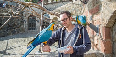 Ausflug mit Kindern - Alter der Kinder: 6 bis 10 Jahre - Wehrheim - Besucher der Vogelburg können direkten Kontakt zu den Papageien in den großen Freiflugvolieren haben. - Vogelburg