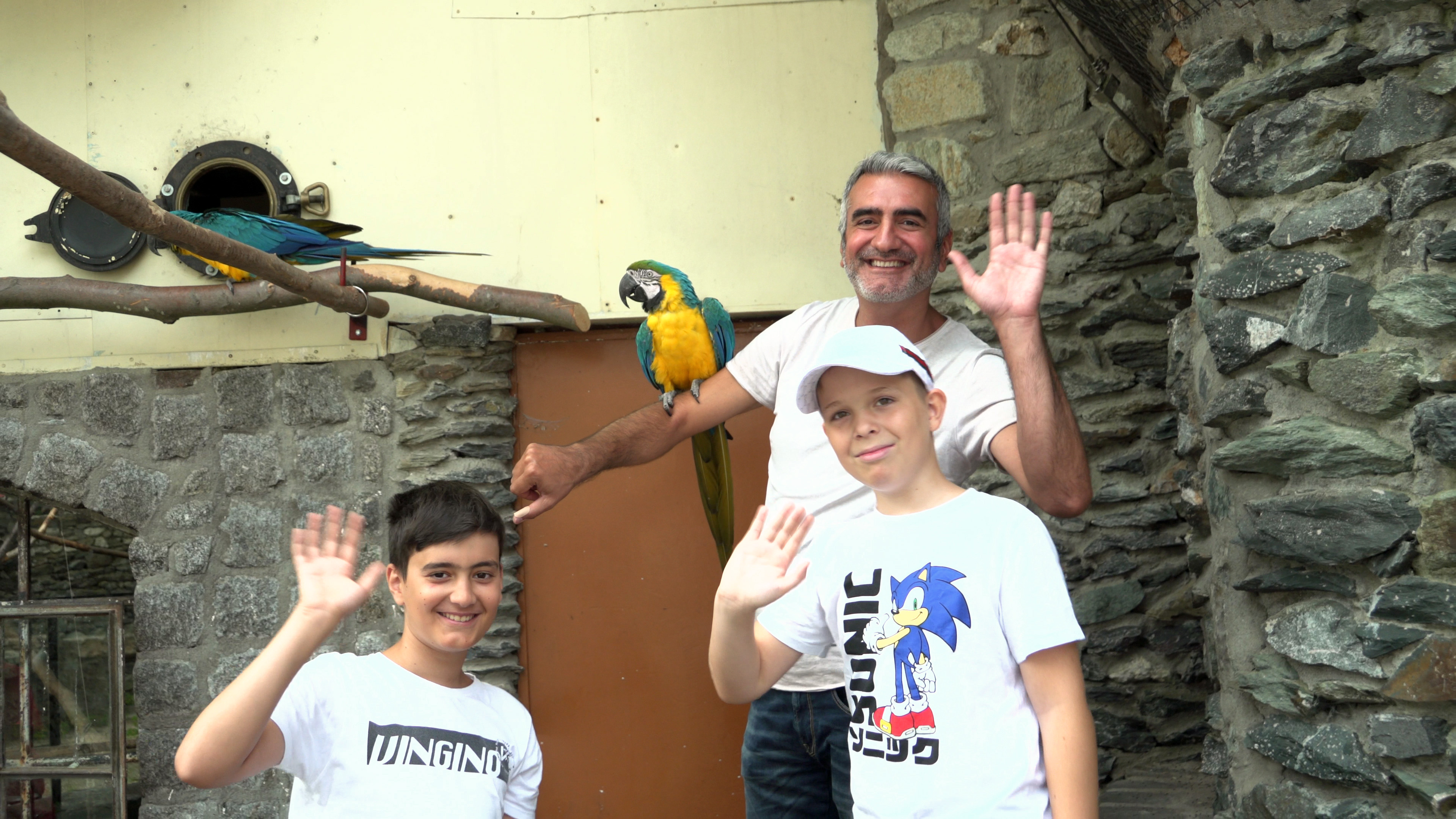 Ausflugsziel: Vogelburg