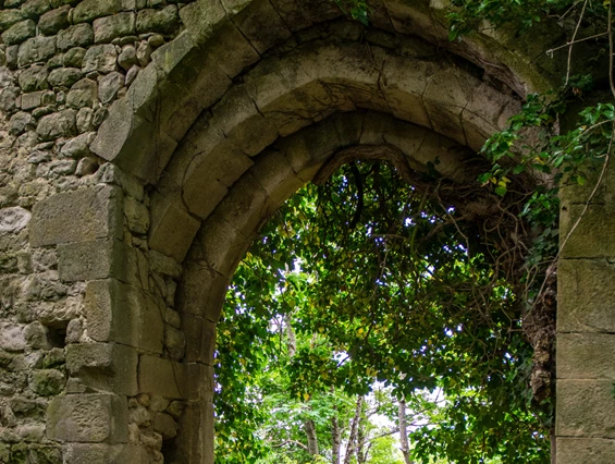 Ausflugsziel: Burgruine Runkel
