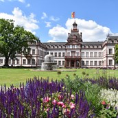Ausflugsziel - Historisches Museum Hanau Schloss Philippsruhe