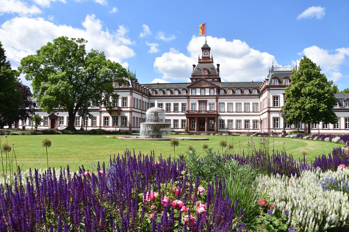 Ausflugsziel: Historisches Museum Hanau Schloss Philippsruhe