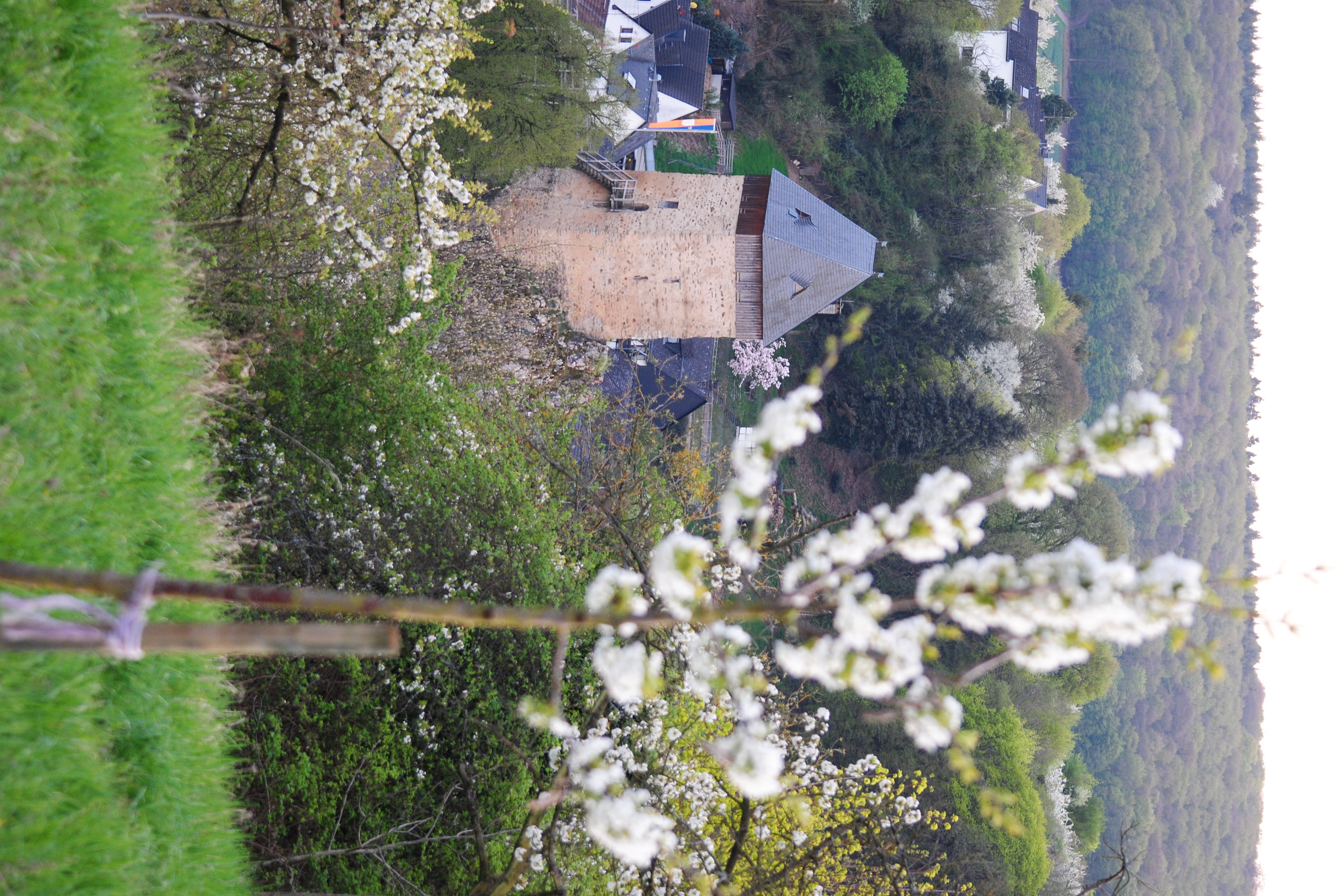 Ausflugsziel: Burgruine Frauenstein