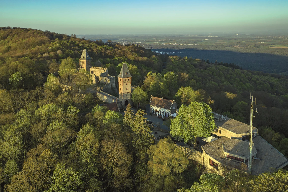 Ausflugsziel: Herzlich Willkommen auf Burg Frankenstein - Burg Frankenstein