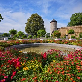 Ausflugsziel: Schloss Weilburg