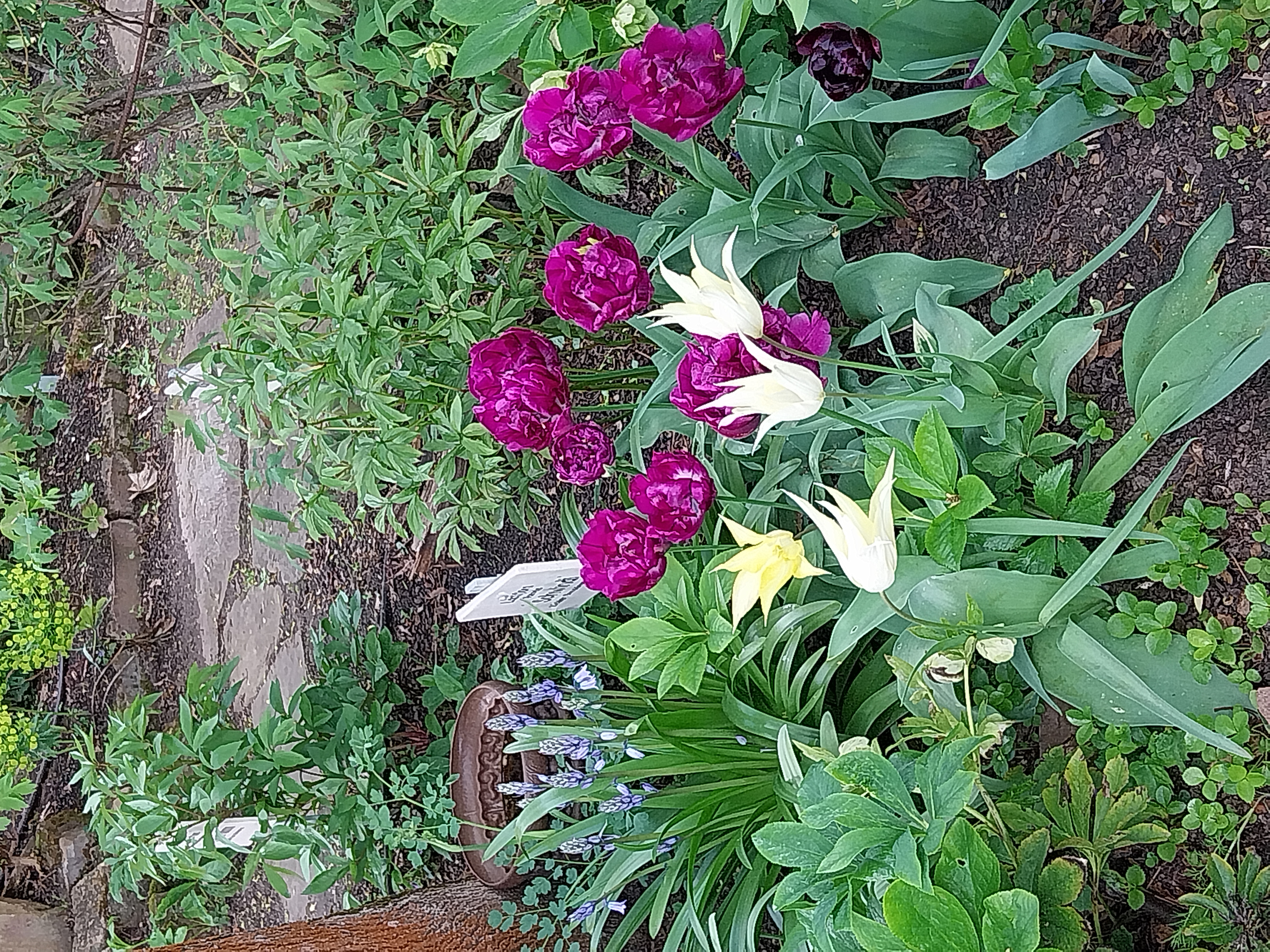 Ausflugsziel: Kloster Lorsch