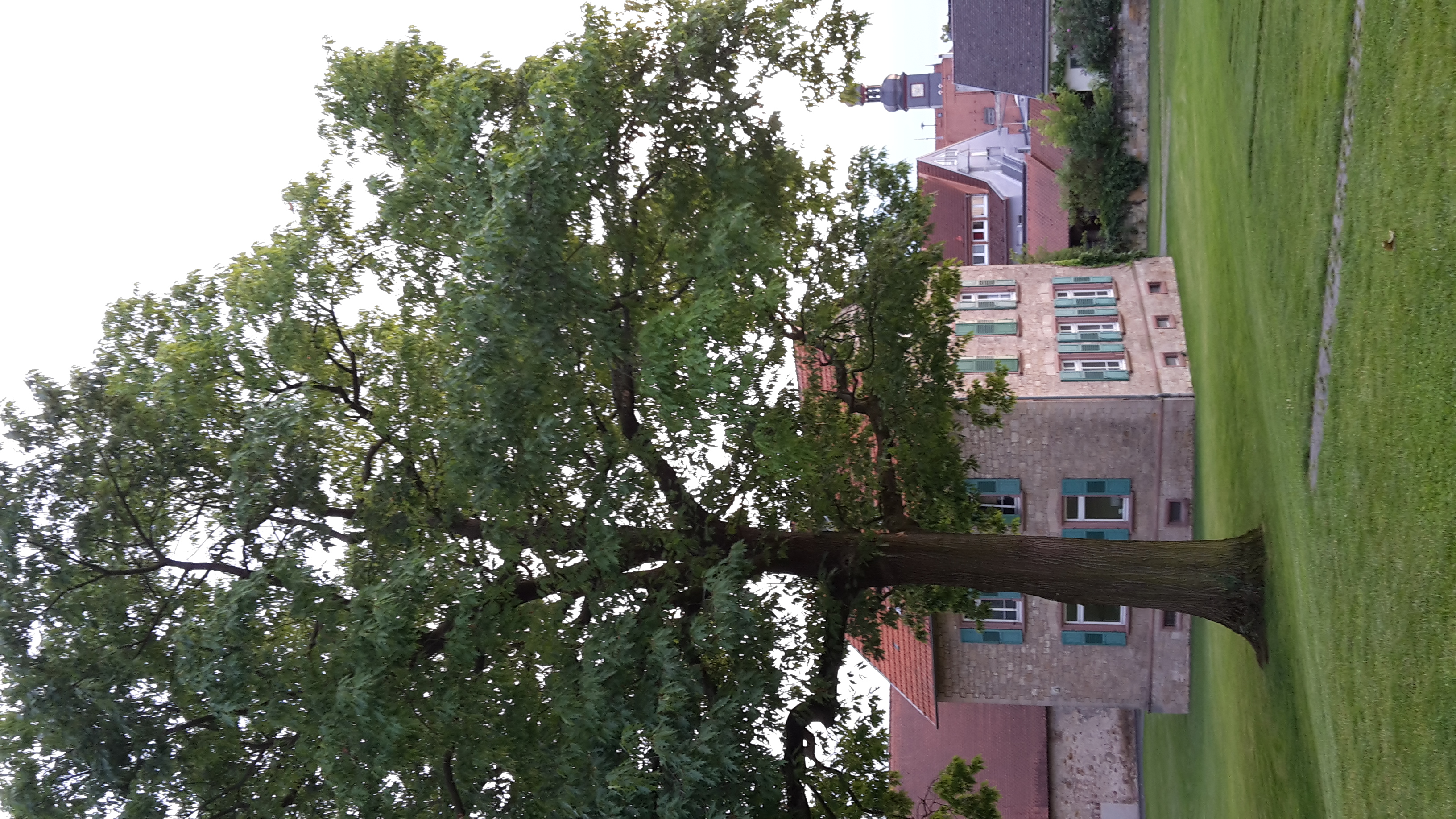 Ausflugsziel: Kloster Lorsch