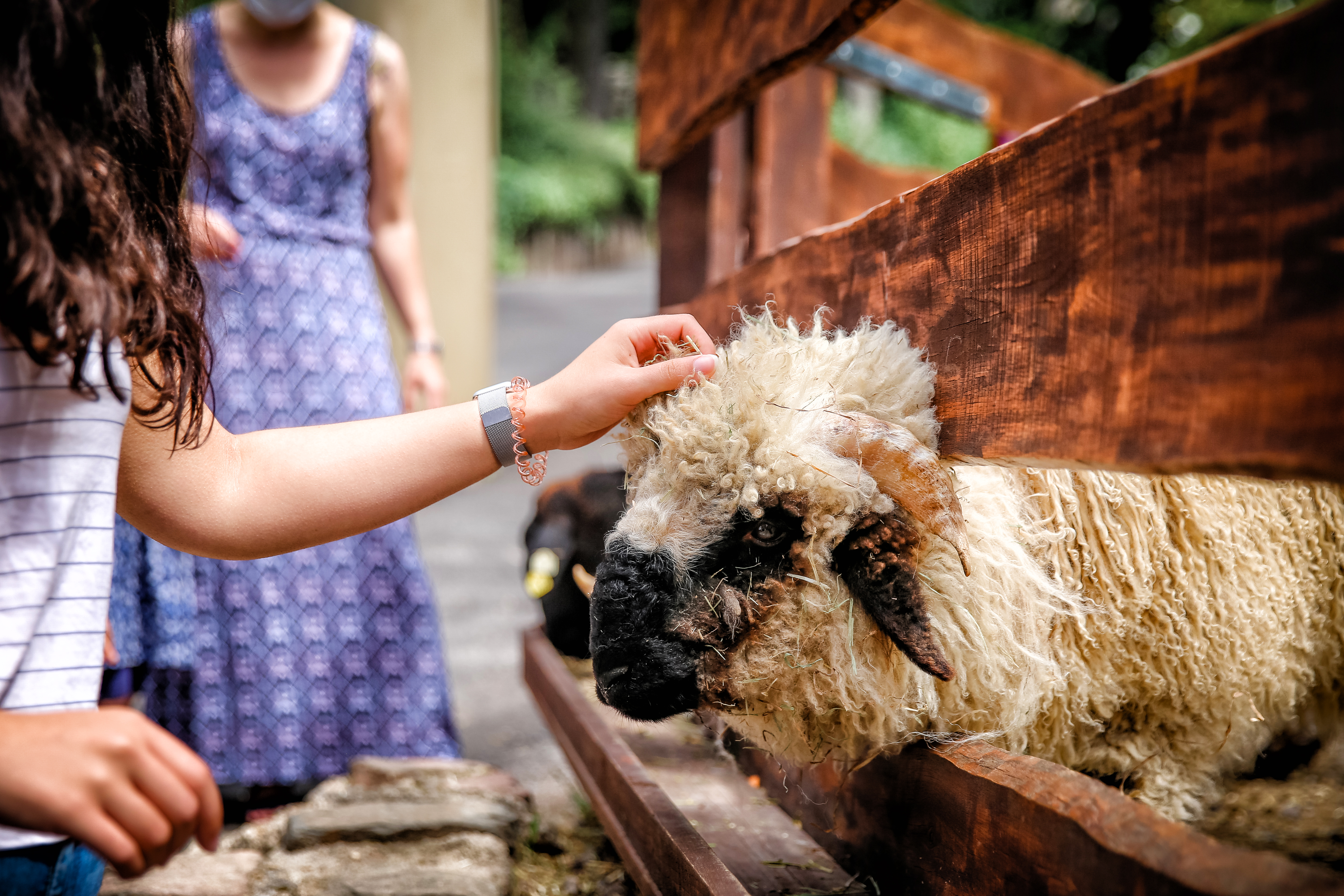 Ausflugsziel: Taunus Wunderland