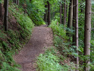 Ausflugsziel: Symbolbild für Ausflugsziel Großer Feldberg. Keine korrekte oder ähnlich Darstellung! - Großer Feldberg