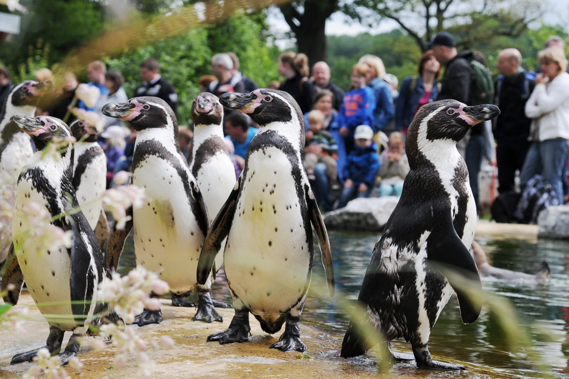 Ausflugsziel: Tierpark Sababurg
