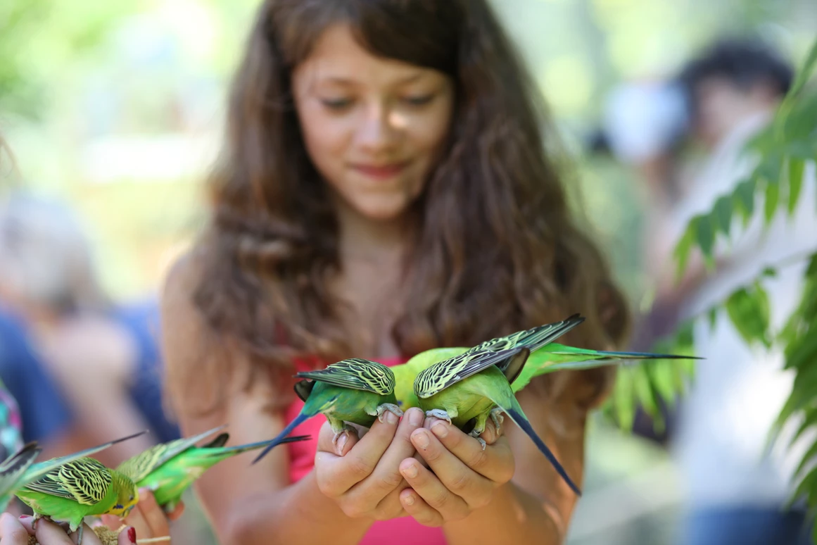 Ausflugsziel: Tierpark Sababurg